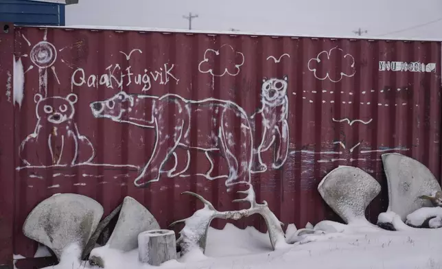 Polar bears and the Inupiaq word for "Kaktovik" are painted on a shipping container in the village of Kaktovik, Alaska, Wednesday, Oct. 16, 2024. (AP Photo/Lindsey Wasson)