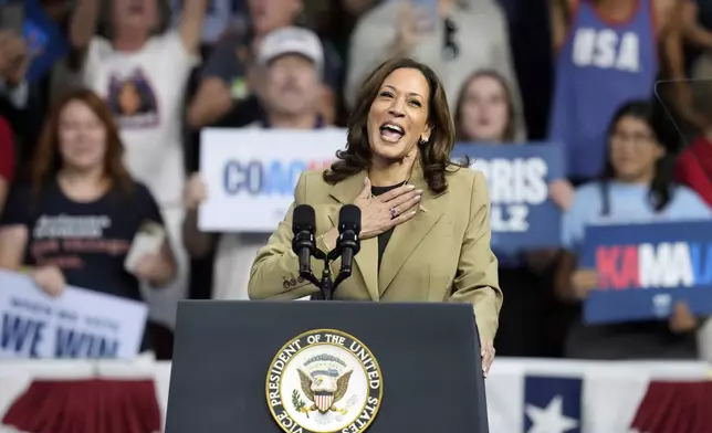 FILE - Democratic presidential nominee Vice President Kamala Harris speaks at a campaign rally at Desert Diamond Arena, Aug. 9, 2024, in Glendale, Ariz. (AP Photo/Ross D. Franklin, File)