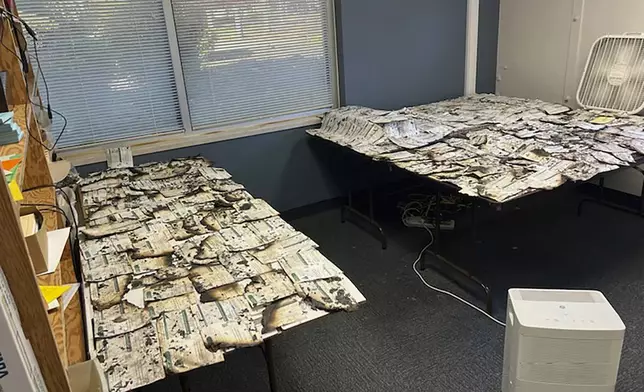 In this image provided by the Clark County Auditor's Office, ballots damaged in a drop box arson in Vancouver, Wash., are spread on tables on Monday, Oct. 28, 2024. (Greg Kimsey/Clark County Auditor's Office via AP)