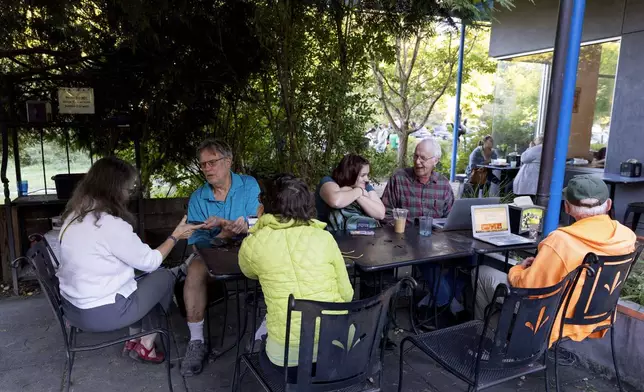 Patricia Sepulveda, Keith Fieldhammer, Frances Summers and Mark Harris send texts at IX Art Park in Charlottesville, Va., Thursday, Oct. 10, 2024. Charlottesville Democrats meet weekly to make phone calls, write postcards and send texts to get out the vote. (AP Photo/Ryan M. Kelly)