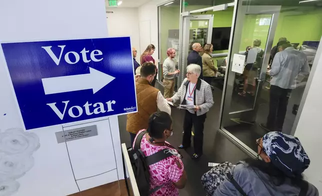 People lineup to vote on the first day of Wisconsin's in-person absentee voting at the Madison Public Library in Madison, Wisc., Tuesday, Oct. 22, 2024. (AP Photo/John Hart, Wisconsin State Journal)