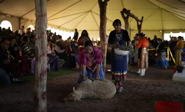 FILE - Miss Navajo Nation pageant contestant Amy Begaye, left, prepares a sheep with help from Kashlynn Benally during a sheep-butchering contest, Monday, Sept. 4, 2023, on the Navajo Nation in Window Rock, Ariz. (AP Photo/John Locher, File)