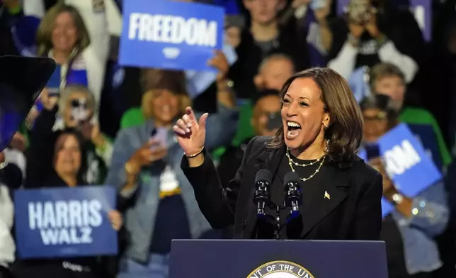 Democratic presidential nominee Vice President Kamala Harris speaks during a campaign rally at Erie Insurance Arena, in Erie, Pa., Monday, Oct. 14, 2024.(AP Photo/Gene J. Puskar)