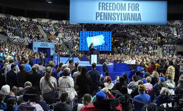 Democratic presidential nominee Vice President Kamala Harris speaks during a campaign rally at Erie Insurance Arena, in Erie, Pa., Monday, Oct. 14, 2024. (AP Photo/Jacquelyn Martin)