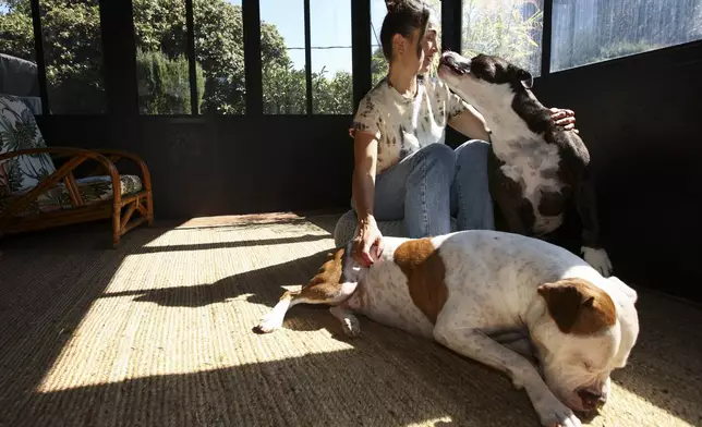 Headspace meditation teacher, Rosie Acosta, interacts with her dogs in her sun room Monday, Sept. 30, 2024, in Woodland Hills, Calif. (AP Photo/Jessie Alcheh)