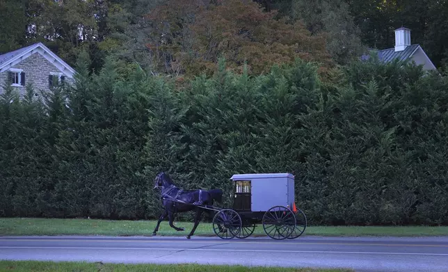 A horse and buggy drives down the street in Strasburg, Pa., on Tuesday, Oct. 15, 2024. (AP Photo/Jessie Wardarski)