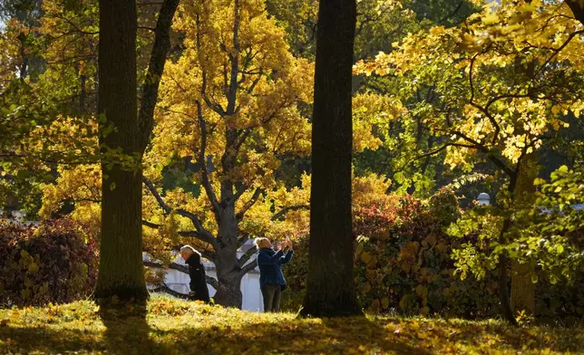 People walk in a park among seasonal coloured trees on an autumn day in Tallinn, Estonia, Wednesday, Oct. 16, 2024. (AP Photo/Sergei Grits)