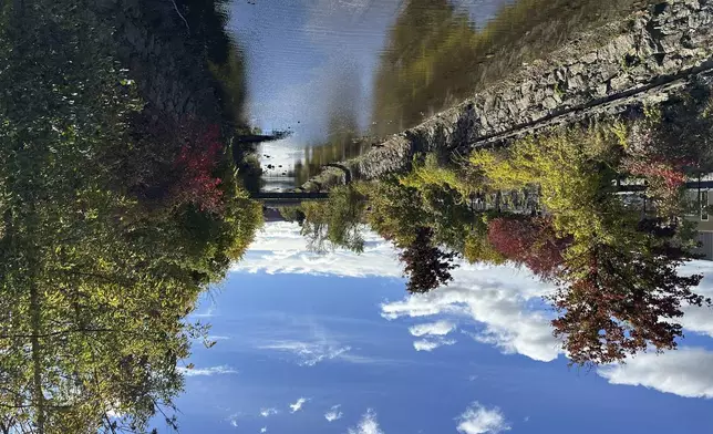 The leaves start to change by the canal under the Chestnut Street bridge in Lewiston, Maine, on Thursday, Oct. 15, 2024. (AP Photo/ Patrick Whittle)