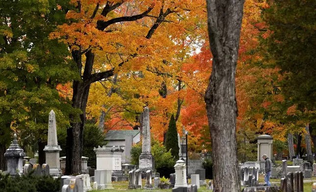 Maple and oak trees provide a colorful autumn backdrop in Evergreen Cemetery, Tuesday, Oct. 15, 2024, in Portland, Maine. (AP Photo/Robert F. Bukaty)