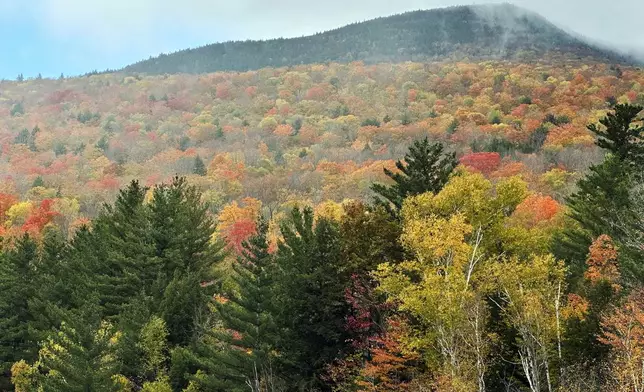 Fall colors are displayed on Loon Mountain near Lincoln, N.H., Tuesday, Oct. 15, 2024. (AP Photo/Nick Perry)