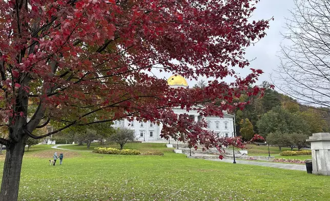 A maple tree displays its fall color on the Vermont Statehouse lawn in Montpelier, Vt., on Tuesday, Oct. 15, 2024. (AP Photo/Lisa Rathke)