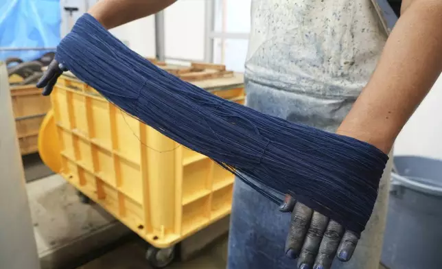 A dyer at Momotaro Jeans shows dyed yarn in Kojima, Okayama prefecture, western Japan, on Sept. 4, 2024. (AP Photo/Ayaka McGill)