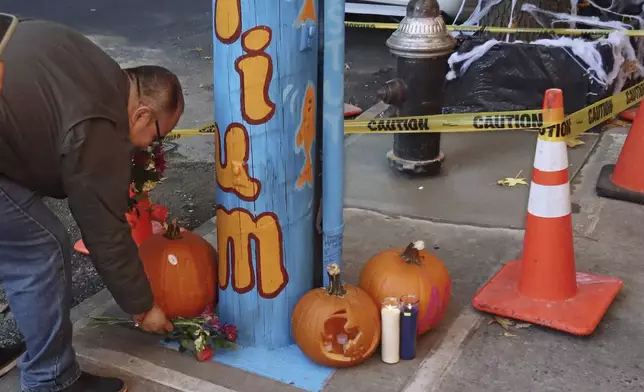 Osvaldo Heredia, of Inland Empire, Calif., places flowers at a makeshift memorial for the Bed-Stuy Aquarium, the yellow caution-taped area around a once leaky fire hydrant that became a makeshift aquarium goldfish pool, and now has been filled with concrete by the city, Friday, Oct. 25, 2024, in the Brooklyn borough of New York. (AP Photo/Cedar Attanasio)