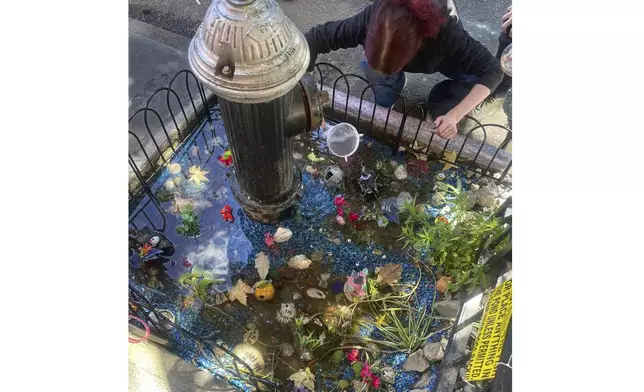 A woman tends to the makeshift aquarium goldfish pool created by a leaky fire hydrant in the Brooklyn borough of New York, Sept. 8, 2024. (AP Photo/Karen Matthews)