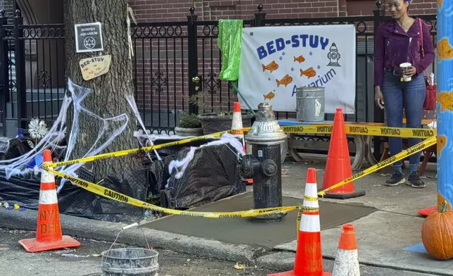 Yellow caution tape surrounds the area around a once leaky fire hydrant, that became a makeshift aquarium goldfish pool, and now has been filled with concrete by the city, Friday, Oct. 25, 2024, in the Brooklyn borough of New York. (AP Photo/Cedar Attanasio)