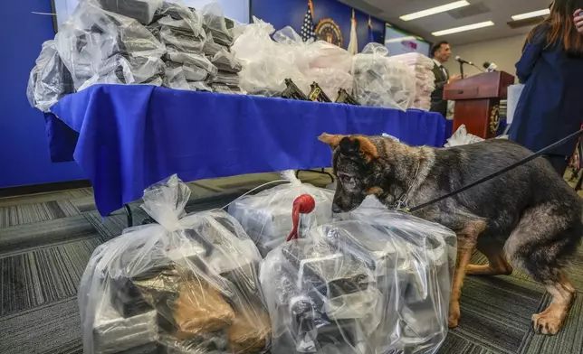 Los Angeles Police Department K9 dog Queza, jumps on top of bricks of cocaine after federal, local, and international officials announced federal charges and arrests of alleged members of a transnational drug trafficking operation that routinely shipped hundreds of kilograms of cocaine from Colombia, through Mexico and Southern California, to Canada and other locations in the United States at a news conference at the FBI offices in Los Angeles, Thursday, Oct. 17, 2024. (AP Photo/Damian Dovarganes)