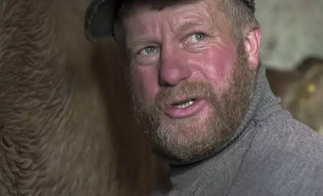 Yuri Strukov, 46, milks a cow at his farm in the remote mountain village of Orlovka, Georgia, Saturday, May 4, 2024. (AP Photo/Kostya Manenkov)