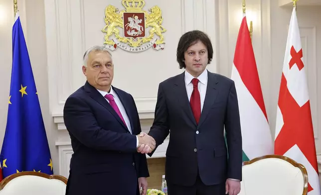 In this photo released by Georgian Prime Minister Press Office on Tuesday, Oct. 29, 2024, Georgian Prime Minister Irakli Kobakhidze, right, and Prime Minister of Hungary Viktor Orban shake hands during their meeting in Tbilisi, Georgia. (Georgian Prime Minister Press Office via AP)