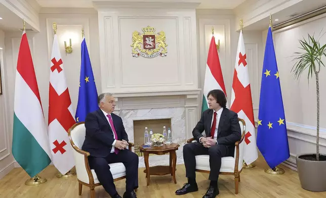 In this photo released by Georgian Prime Minister Press Office on Tuesday, Oct. 29, 2024, Georgian Prime Minister Irakli Kobakhidze, right, and Prime Minister of Hungary Viktor Orban speak during their meeting in Tbilisi, Georgia. (Georgian Prime Minister Press Office via AP)