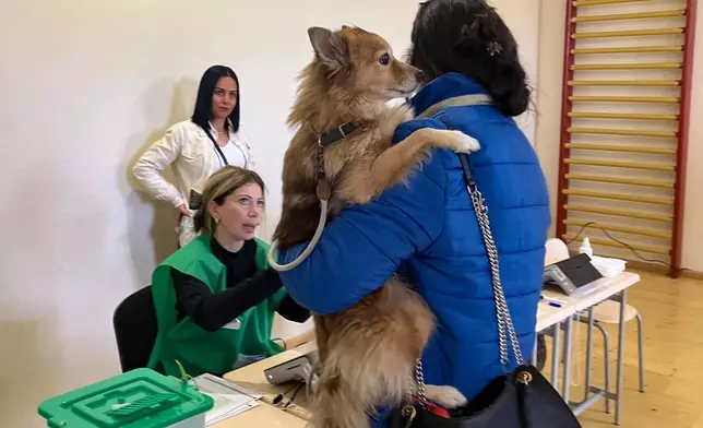 A woman holds her pet as she receives a ballot at a polling station during the parliamentary election in Tbilisi, Georgia, Saturday, Oct. 26, 2024. (AP Photo/Sophiko Megrelidze)