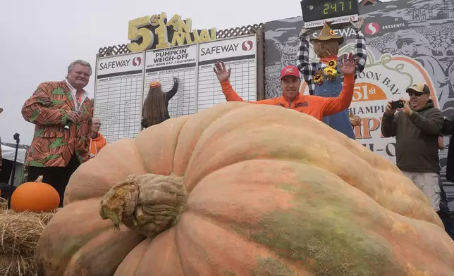 Travis Gienger, of Anoka, Minn., middle, celebrates after his pumpkin weighed in at 2,471 pounds to win at the Safeway World Championship Pumpkin Weigh-Off in Half Moon Bay, Calif., Monday, Oct. 14, 2024. (AP Photo/Jeff Chiu)