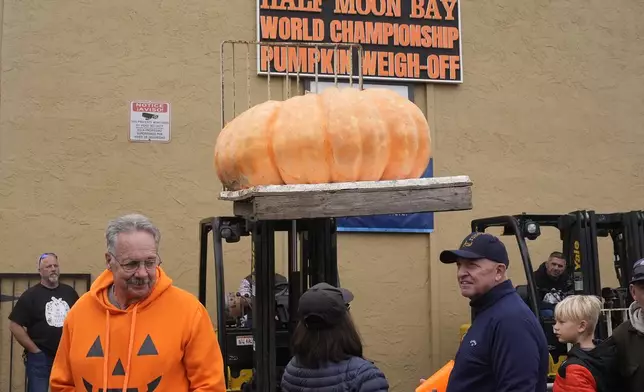 A 977-pound pumpkin owned by Eric Carlson, of Portola Valley, Calif., is raised during a beauty contest, which tied for first, at the Safeway World Championship Pumpkin Weigh-Off in Half Moon Bay, Calif., Monday, Oct. 14, 2024. (AP Photo/Jeff Chiu)