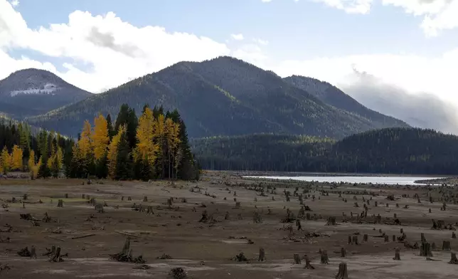 Fall colors begin to change around Bumping Lake as the search for two Naval aviators continues on Thursday, Oct. 17, 2024, near Goose Prairie, Wash. (Nick Wagner/The Seattle Times via AP)