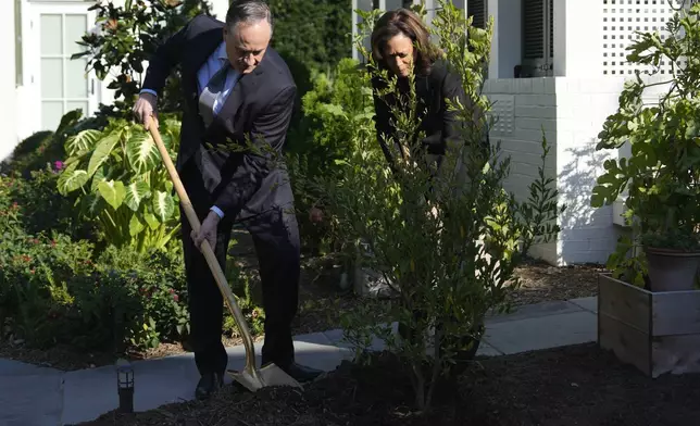 Democratic presidential nominee Vice President Kamala Harris, right, and second gentleman Doug Emhoff plant a memorial tree on the grounds of the Vice President's residence in Washington on Monday, Oct. 7, 2024, to honor the victims and mark one year since the Oct. 7, 2023, Hamas attack on Israel. (AP Photo/Ben Curtis)