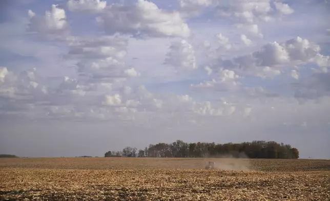 Randy Robinson tills a corn field in preparation for the winter, in Worthington, Minn., on Monday, Oct. 21, 2024. (AP Photo/Jessie Wardarski)