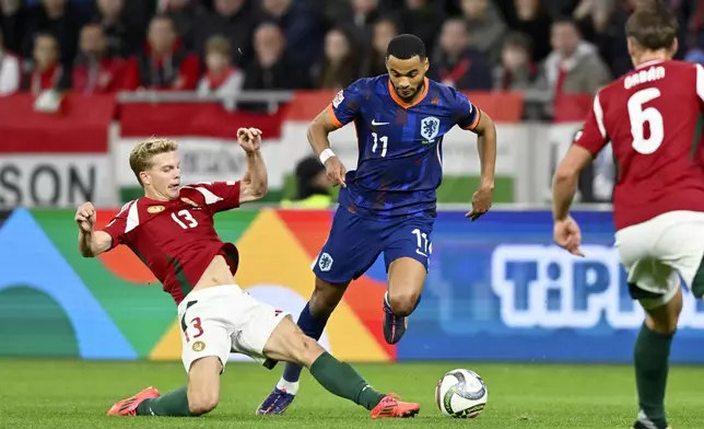 Hungary's Andras Schafer, left, tries to tackle Cody Gakpo of the Netherlands during the Nations League soccer match between Hungary and the Netherlands at the Puskas Arena in Budapest, Friday, Oct. 11, 2024. (AP Photo/Denes Erdos)