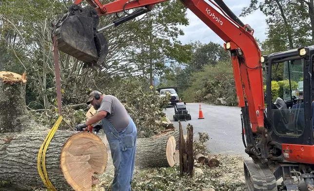 A worker cuts up a tree that impaled itself on a fire hydrant during Hurricane Helene, Friday, Oct. 4, 2024, in the Oak Forest neighborhood of Asheville, N.C. (AP Photo/Jeff Amy)