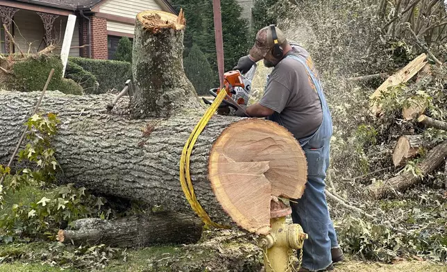 A worker cuts up a tree that impaled itself on a fire hydrant during Hurricane Helene, Friday, Oct. 4, 2024, in the Oak Forest neighborhood of Asheville, N.C. (AP Photo/Jeff Amy)