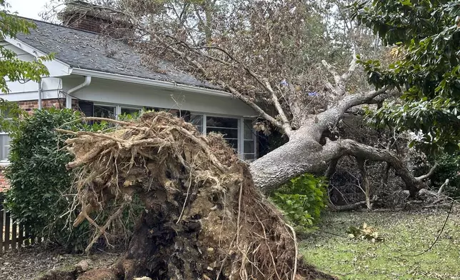 A tree rests on a house, Friday, Oct. 4, 2024, in the Oak Forest neighborhood of Asheville, N.C., after a falling during the remnants of Hurricane Helene, (AP Photo/Jeff Amy)