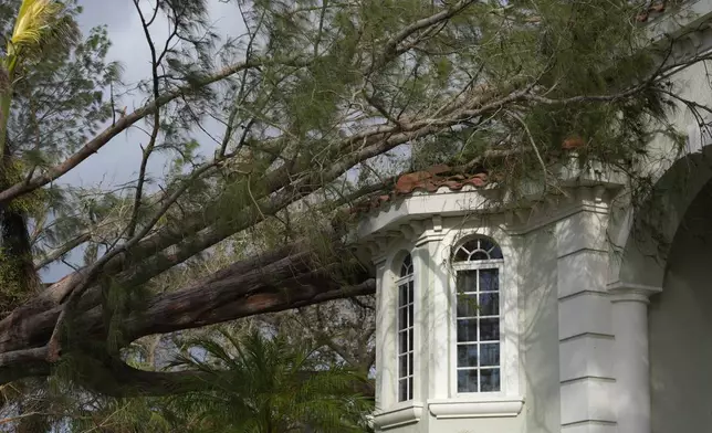 A tree lies atop a stately home in Siesta Key, Fla., following the passage Hurricane Milton, Thursday, Oct. 10, 2024. (AP Photo/Rebecca Blackwell)