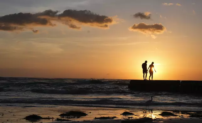 People from Sarasota, Fla., visit a familiar beach on Siesta Key, Fla., which they say was already decimated by Hurricane Helene, and lost feet more of sand coverage in Hurricane Milton, Thursday, Oct. 10, 2024. (AP Photo/Rebecca Blackwell)