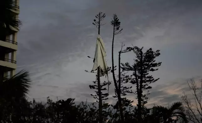 A piece of debris is wrapped high around a tree in Siesta Key, Fla., following the passage of Hurricane Milton, Thursday, Oct. 10, 2024. (AP Photo/Rebecca Blackwell)