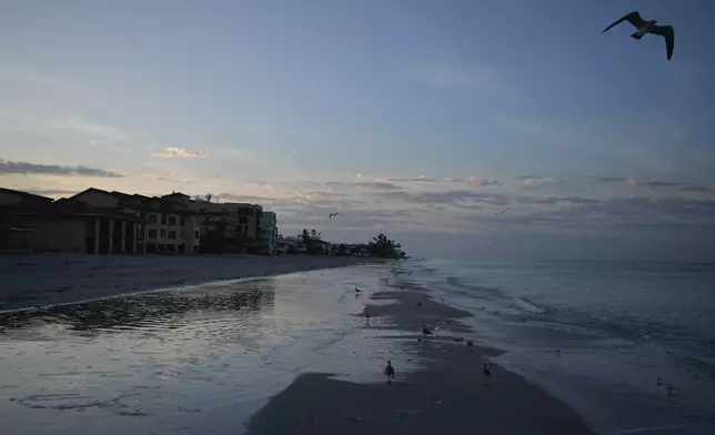 Birds visit a sandbar as the sun rises, on Manasota Key in Englewood, Fla., following the passage of Hurricane Milton, Sunday, Oct. 13, 2024. (AP Photo/Rebecca Blackwell)