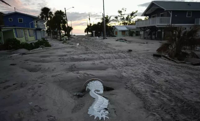 A seahorse statue lies embedded in feet of sand covering a road on Manasota Key, Fla., following the passage of Hurricane Milton, Saturday, Oct. 12, 2024. (AP Photo/Rebecca Blackwell)