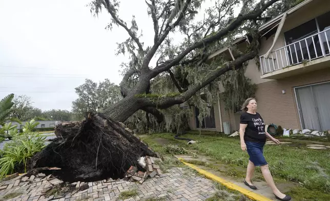 Joella Krzyzanski walks past a large oak tree that fell at her apartment complex after Hurricane Milton passed Thursday, Oct. 10, 2024, in Sanford, Fla. (AP Photo/John Raoux)