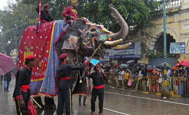 Mahouts make a decorated elephant lift its trunk to greet the crowd as it rains during a procession on the last day of the Dussehra festivities, in Mysuru, India, Saturday, Oct. 12, 2024. (AP Photo/Aijaz Rahi)