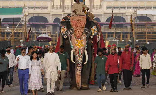 Devotees walk with a decorated elephant to participate in prayers during Dussehra festivities, in Mysuru, India, Friday, Oct. 11, 2024. (AP Photo/Aijaz Rahi)