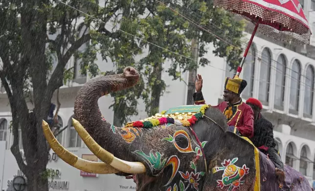 An elephant lifts its trunk to greet the crowd as it rains during a procession on the last day of the Dussehra festivities, in Mysuru, India, Saturday, Oct. 12, 2024. (AP Photo/Aijaz Rahi)