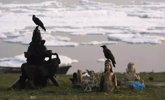 Birds sit on the statues of Hindu deities recovered from the river Yamuna in New Delhi, India, Tuesday, Oct. 29, 2024. (AP Photo/Manish Swarup)