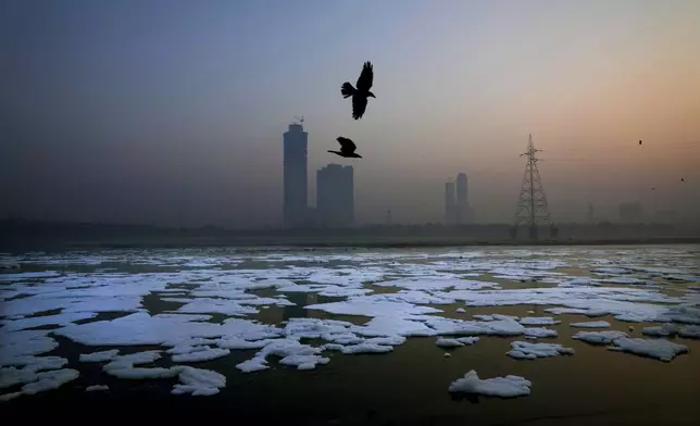 Birds fly over toxic foams floating in the river Yamuna in New Delhi, India, Tuesday, Oct. 29, 2024. (AP Photo/Manish Swarup)