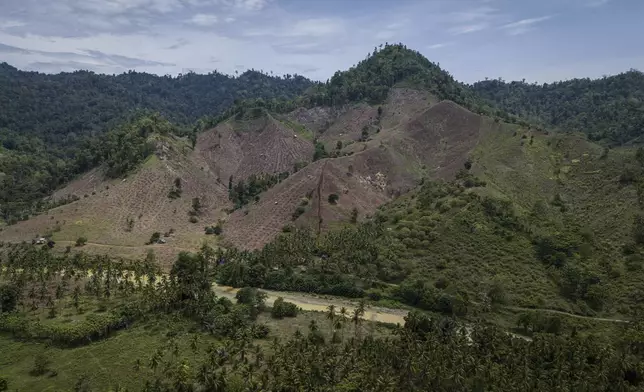 Deforestation is visible near several wood pellet production companies in Pohuwato, Gorontalo province, Indonesia, Tuesday, Oct. 22, 2024. (AP Photo/Yegar Sahaduta Mangiri)