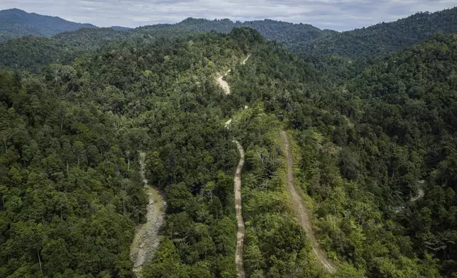 A road leads to areas of several wood pellet production companies in Pohuwato, Gorontalo province, Indonesia, Tuesday, Oct. 22, 2024. (AP Photo/Yegar Sahaduta Mangiri)