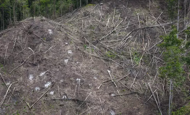 Deforestation is visible near several wood pellet production companies in Pohuwato, Gorontalo province, Indonesia, Tuesday, Oct. 22, 2024. (AP Photo/Yegar Sahaduta Mangiri)