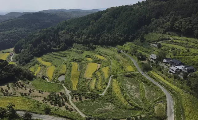 An aerial view of rice terraces in Kamimomi village, Okayama prefecture, Japan on Sept. 6, 2024. (AP Photo/Ayaka McGill)