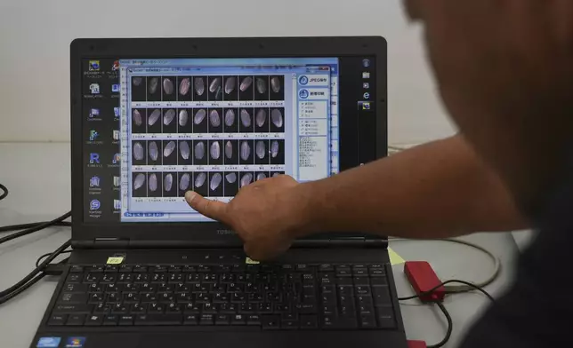 A laptop screen displays comparison photos of rice kernels from different rice varieties at Saitama's Agricultural Technology Research Centre in Kumagaya, Japan on Sept. 26, 2024. (AP Photo/Ayaka McGill)