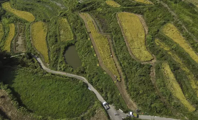 An aerial view of rice terraces in Kamimomi village in Okayama prefecture, Japan on Sept. 7, 2024. (AP Photo/Ayaka McGill)